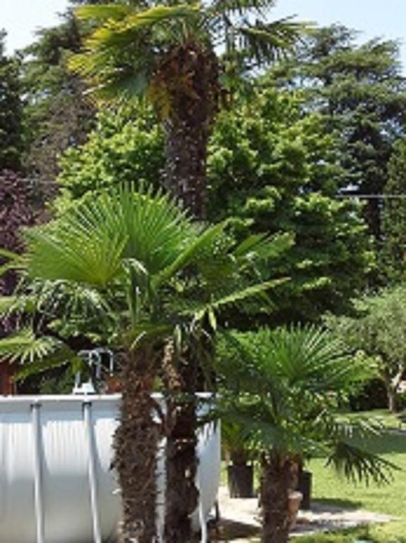 Relais Villa Lezard Lazise Oda fotoğraf